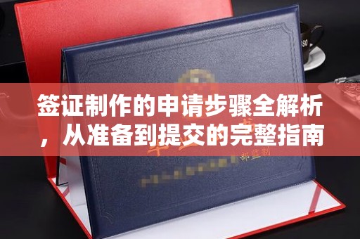 拜城签证制作的申请步骤全解析，从准备到提交的完整指南