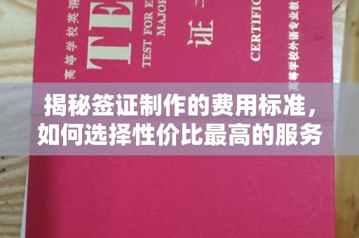 拜城揭秘签证制作的费用标准，如何选择性价比最高的服务？