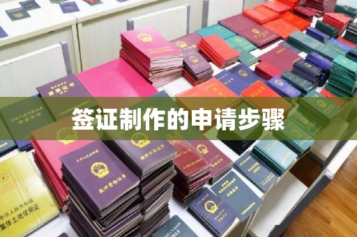 拜城签证制作的申请步骤