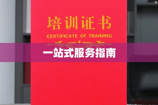 拜城一站式服务指南