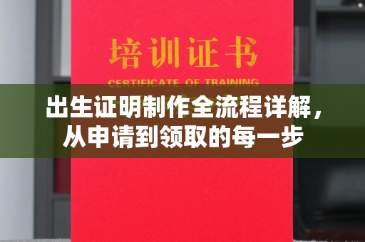 拜城出生证明制作全流程详解，从申请到领取的每一步