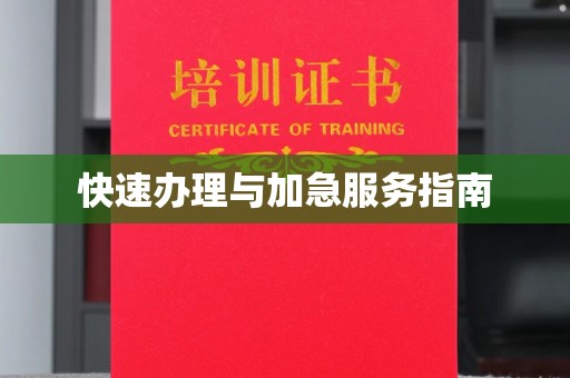 拜城快速办理与加急服务指南