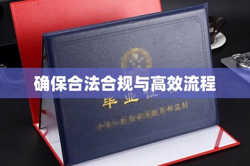 拜城确保合法合规与高效流程