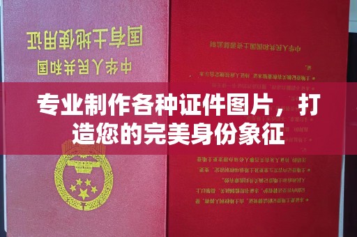 拜城专业制作各种证件图片，打造您的完美身份象征