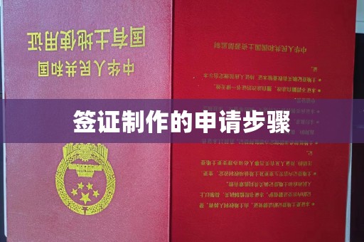 拜城签证制作的申请步骤