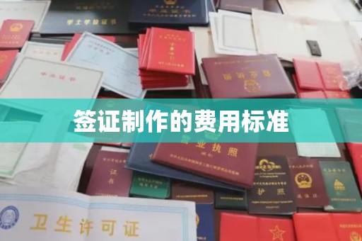 拜城签证制作的费用标准