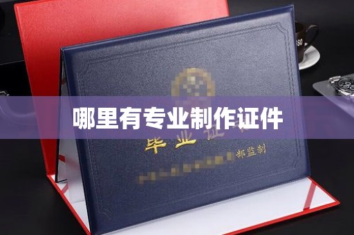拜城哪里有专业制作证件
