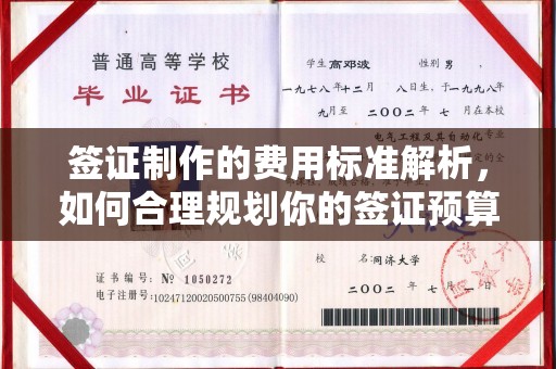 拜城签证制作的费用标准解析，如何合理规划你的签证预算