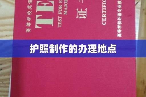 拜城护照制作的办理地点