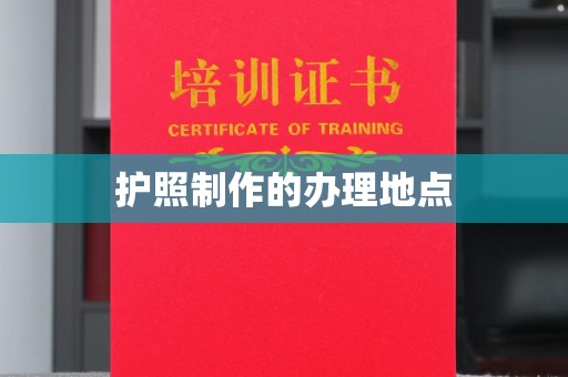 拜城护照制作的办理地点
