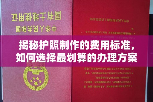 拜城揭秘护照制作的费用标准，如何选择最划算的办理方案？