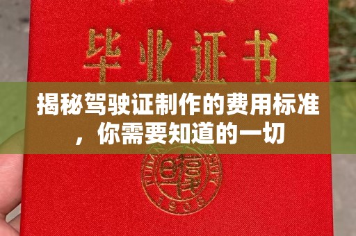 拜城揭秘驾驶证制作的费用标准，你需要知道的一切