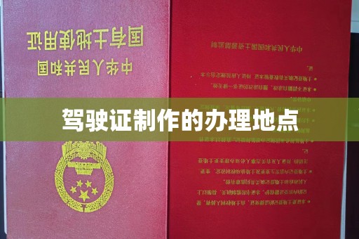 拜城驾驶证制作的办理地点