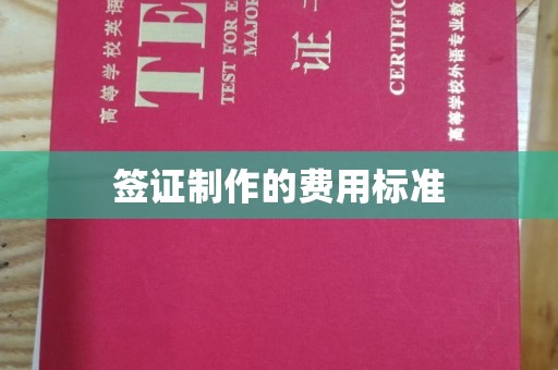 拜城签证制作的费用标准