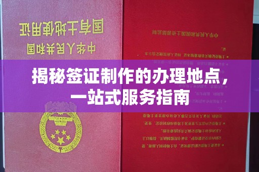 拜城揭秘签证制作的办理地点，一站式服务指南