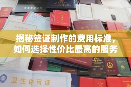 拜城揭秘签证制作的费用标准，如何选择性价比最高的服务？