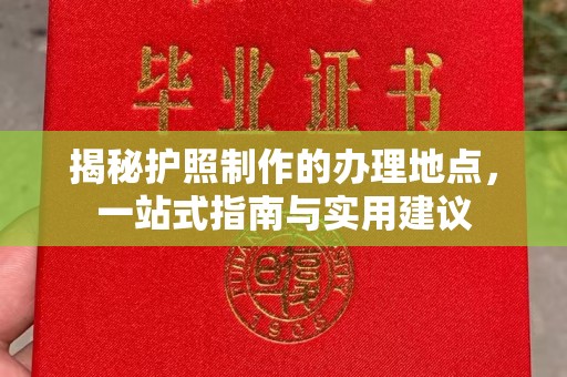 拜城揭秘护照制作的办理地点，一站式指南与实用建议