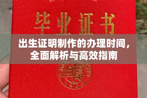 拜城出生证明制作的办理时间，全面解析与高效指南