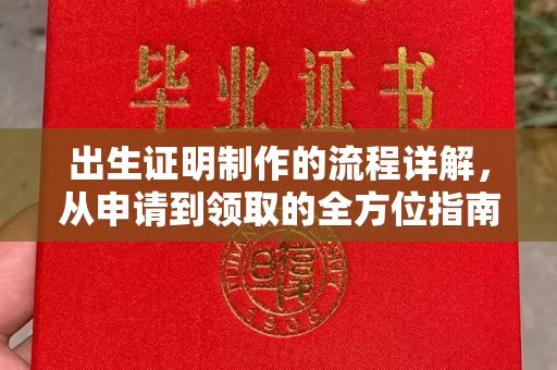 拜城出生证明制作的流程详解，从申请到领取的全方位指南