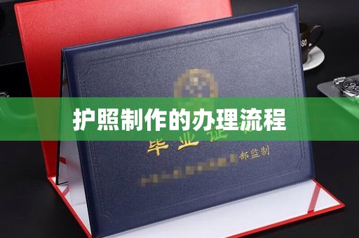 拜城护照制作的办理流程